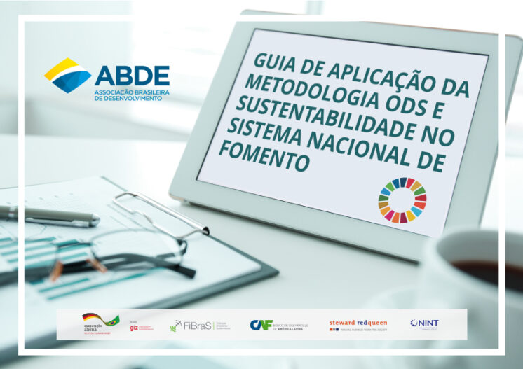 ABDE promove treinamento e lançamento do Guia de Aplicação da Metodologia ODS