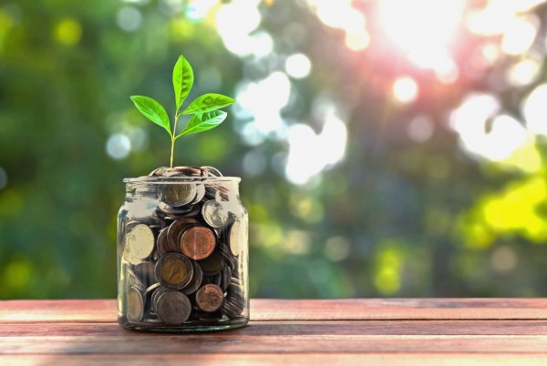 Investimentos da Desenvolve SP em projetos de sustentabilidade ultrapassam R$ 665,5 mi