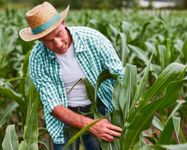 Sicoob impulsiona o agronegócio com o programa Pró-Trator