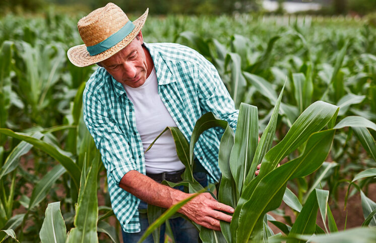 Sicoob impulsiona o agronegócio com o programa Pró-Trator