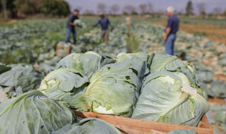 Aprovados projetos do edital de R$ 120 mi para agricultura familiar, aquicultura e pesca artesanal