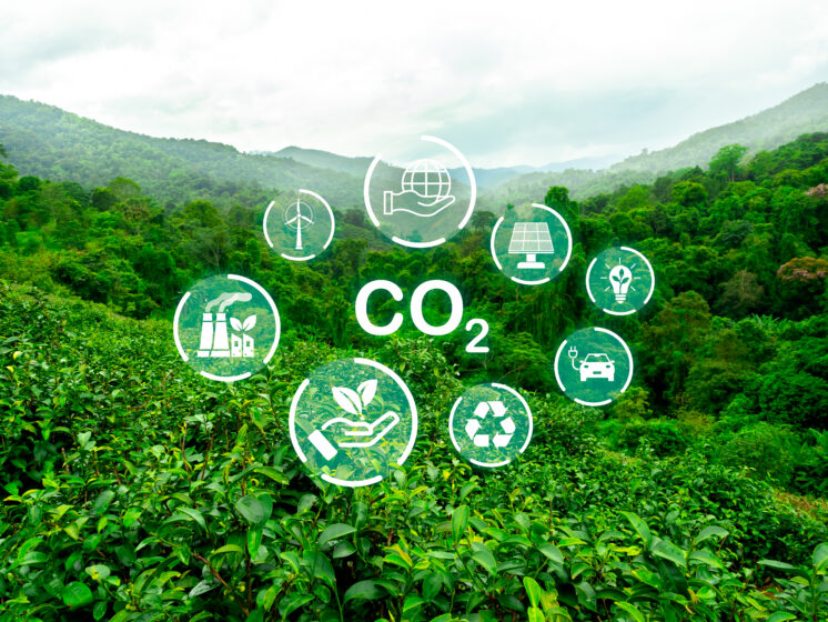 Rumo à COP30, Banco do Brasil impulsiona solução para a descarbonização