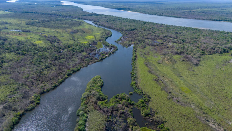 No Dia da Amazônia, BNDES lança novo edital para apoiar até 6 projetos de restauração na bacia do Rio Xingu